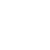 icono 3