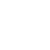 icono 4